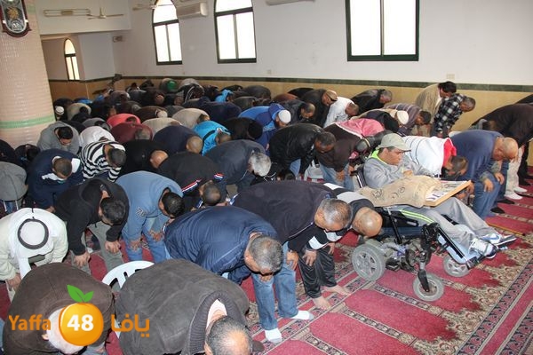 jarhoshuy msajed 0110 (12).JPG